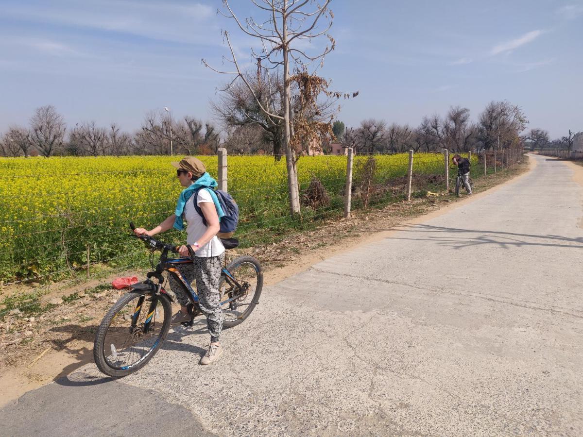 Tourist Pension Nawalgarh Esterno foto